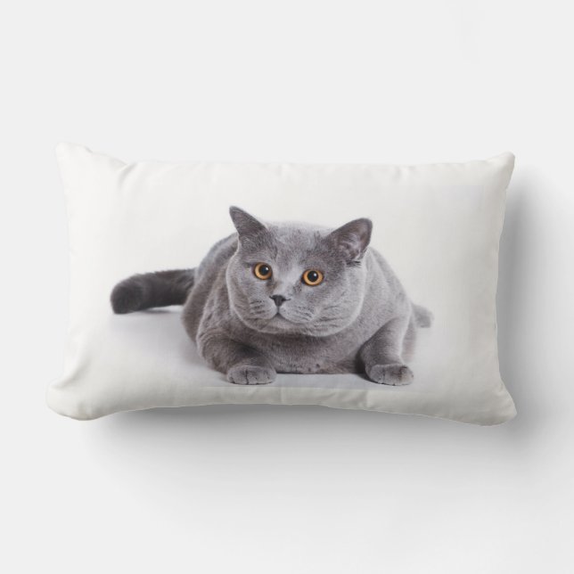 Lumbar de la almohada - gato (Anverso)