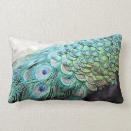 Lumbar El pavo real elegante empluma el Cojín decorativo