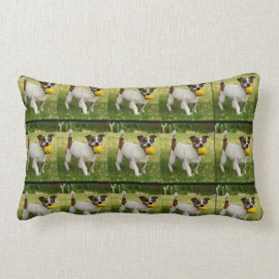 Lumbar Fox Terrier Con Su Cojín Lumbar.