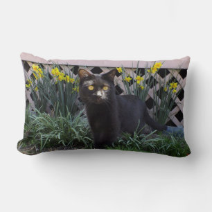 Lumbar Gato negro en el Cojín decorativo Daffodils