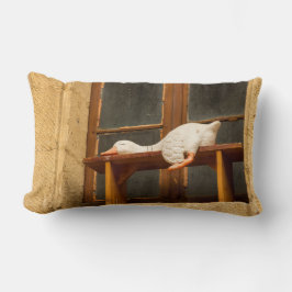 Lumbar Restin de ganso en un Cojín decorativo de banco