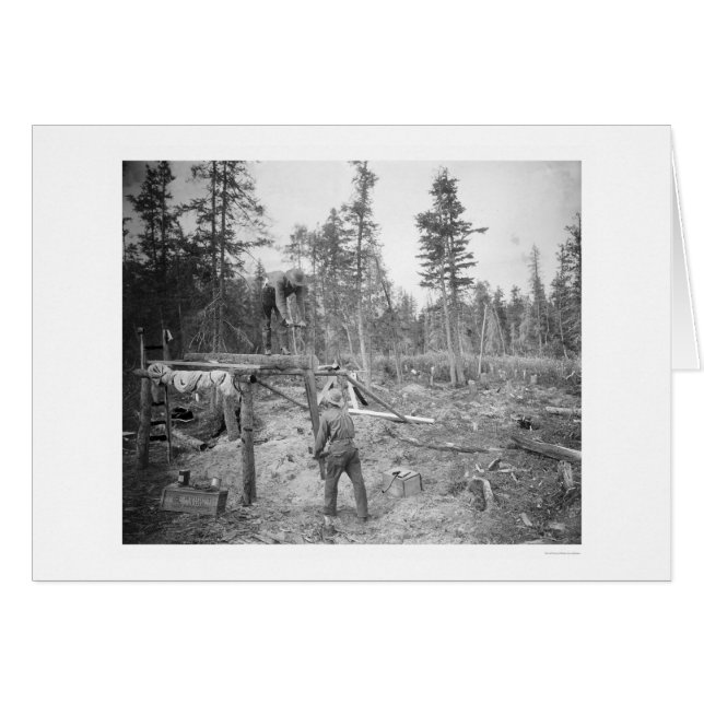 Lumberjacks de Alaska 1916 (Anverso (Horizontal))