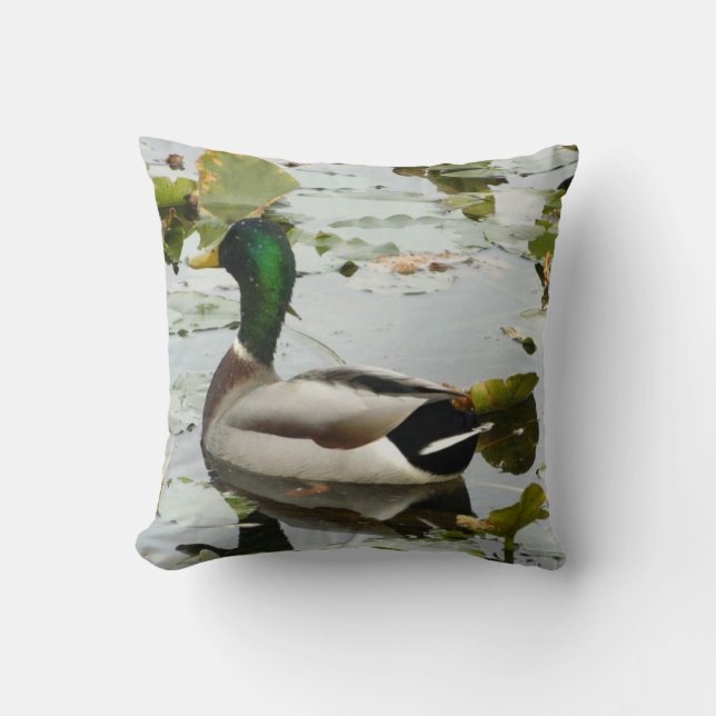 Luminosa almohada de pato Mallard (Anverso)