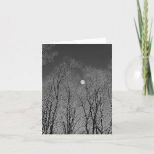 Luna blanca y negra por los árboles