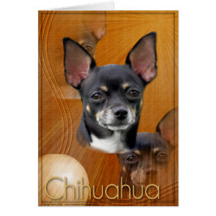 Luna creciente - Isabel