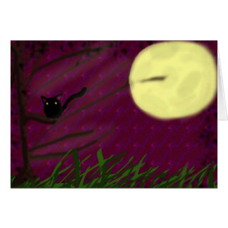 Luna de gato por la noche