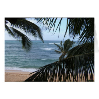 Luna de miel de Kauai