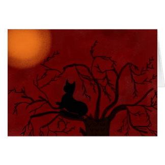 Luna de observación del gato negro