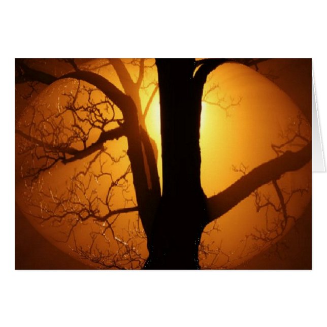 Luna de Otoño Brillando por el árbol (Anverso (Horizontal))
