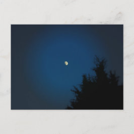 Luna de Verano - Tarjeta Postal