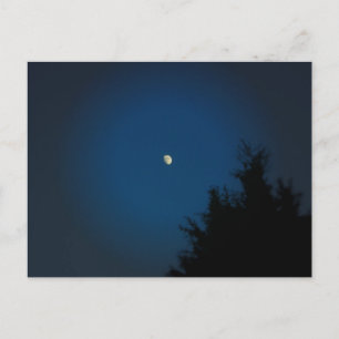 Luna de Verano - Tarjeta Postal