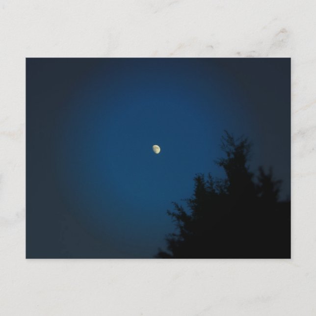 Luna de Verano - Tarjeta Postal (Anverso)