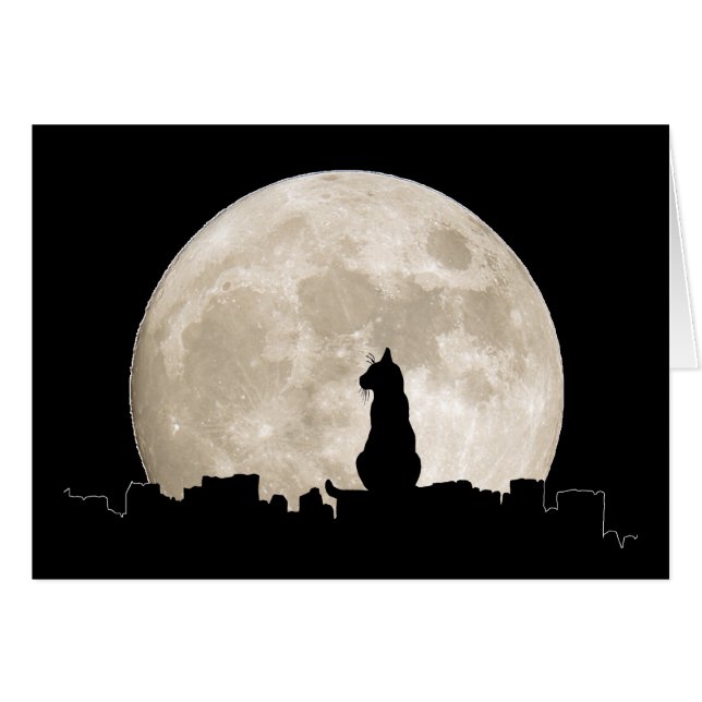 Luna del gato callejero (Anverso (Horizontal))