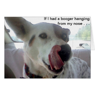 ¿Luna dice si tenía un Booger el colgar de mi