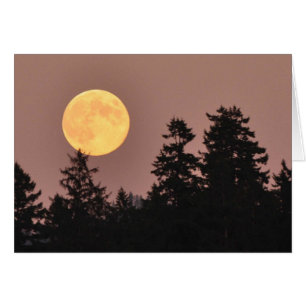Luna Llena agosto de 2013 - tarjeta del arte de
