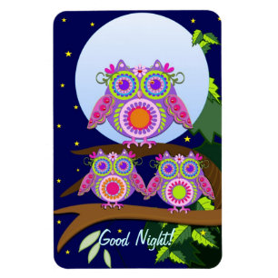 Luna llena, búhos con poder floral con imán de tex