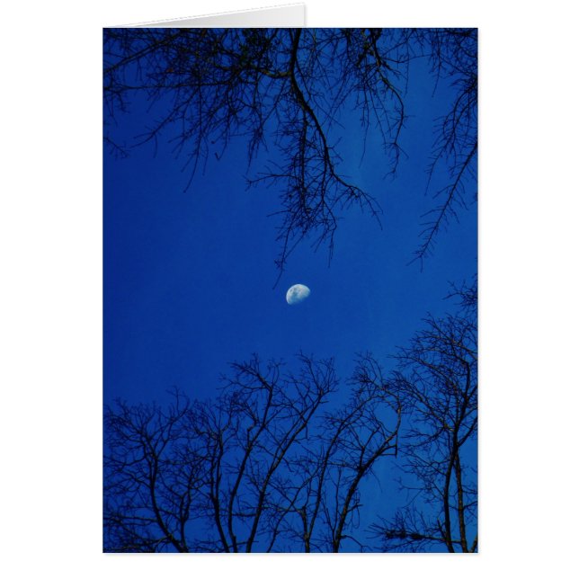 Luna llena de invierno con árboles (Frente)