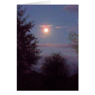 luna llena de lobo levantándose al atardecer - con