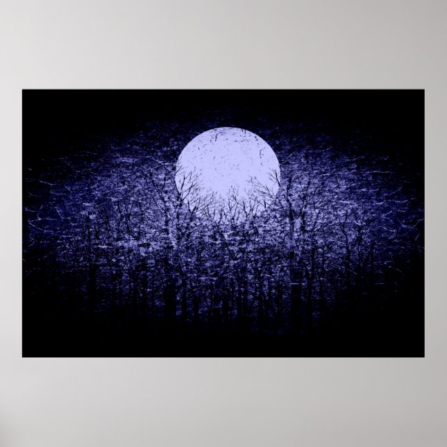 Luna llena en la noche de invierno | Arte blanco y (Frente)