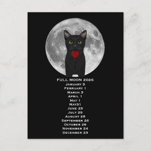 Luna Llena Gato 2026 Tarjeta Postal