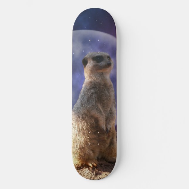 Luna Llena Y Meerkat, Skateboard (Anverso)