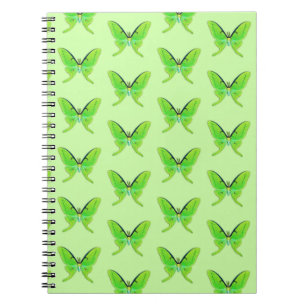 Luna polilla en un cuaderno de fondo verde pálido