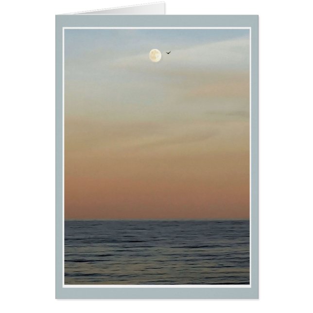 Luna y pájaros sobre el OBX (Frente)