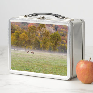 Lunchbox de la pareja de alce de alce