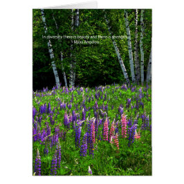 Lupine Field celebra la diversidad