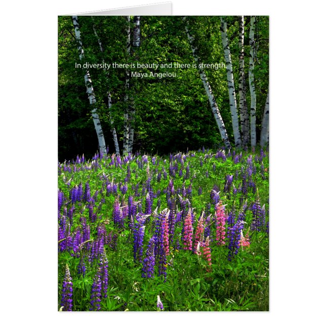 Lupine Field celebra la diversidad (Frente)