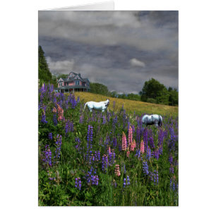 Lupine Mindscape de Jefferson