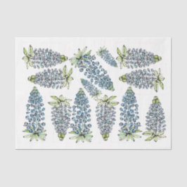 Lupines de Texas Bluebonnets - Papel de tono de de