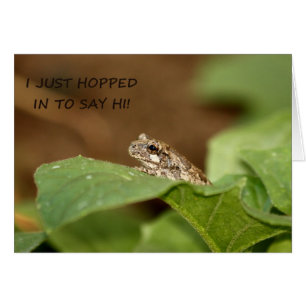 Lupulización minúscula de la rana arbórea adentro