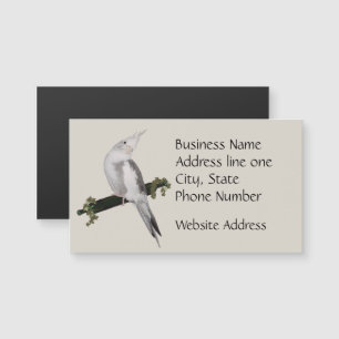 Lutino Cockatiel Ave Marfil Perch Animal Magnet