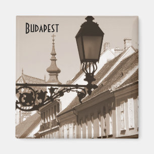 Luz de calle - imán