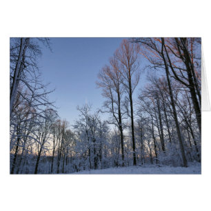 Luz de invierno matutina I