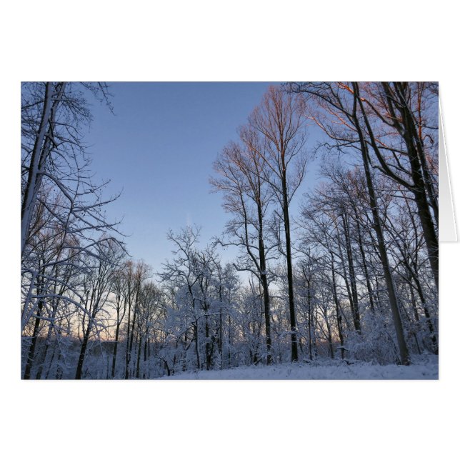 Luz de invierno matutina I (Anverso (Horizontal))