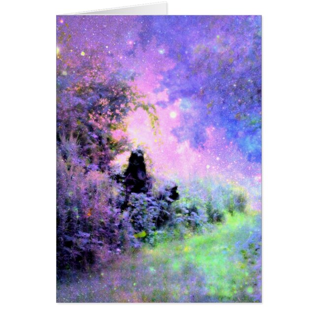 Luz de jardín de ensueño (Frente)