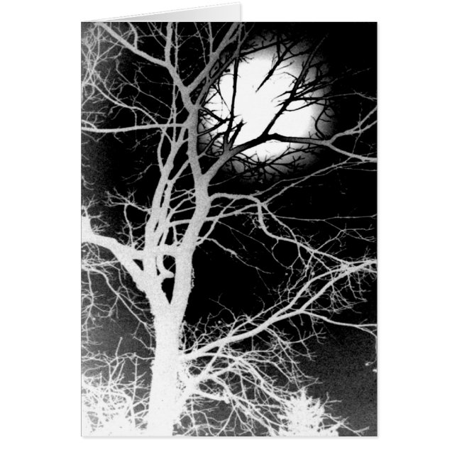 Luz de luna (Frente)