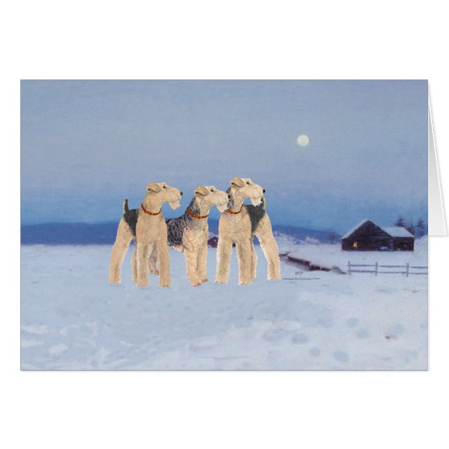 Luz de luna de invierno (Anverso (Horizontal))