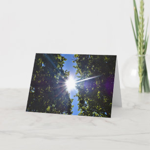 Luz del sol a través de los árboles, tarjeta