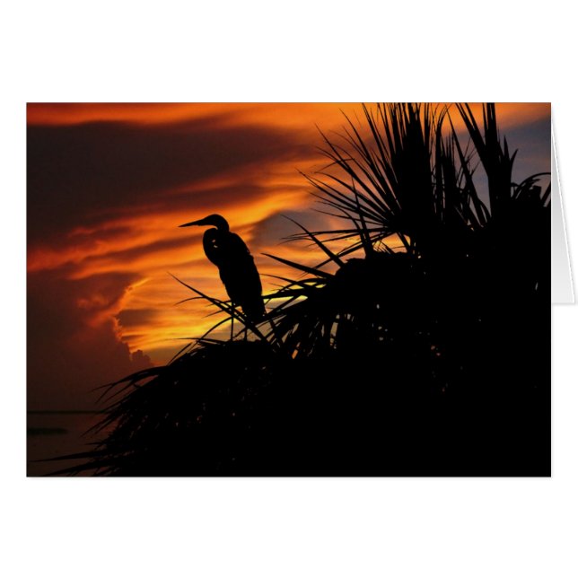 Luz difusa (Anverso (Horizontal))