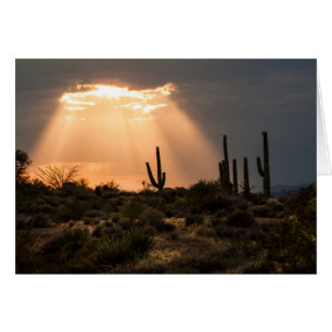 Luz en el desierto