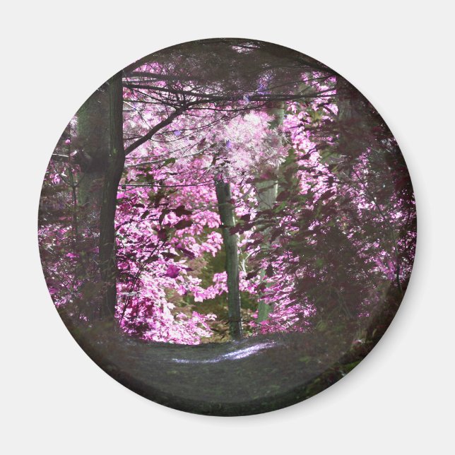 Luz en el imán de la naturaleza de la trayectoria (Frente)