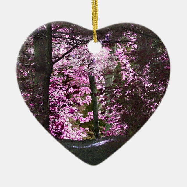 Luz en el ornamento inspirado de la trayectoria (Frente)