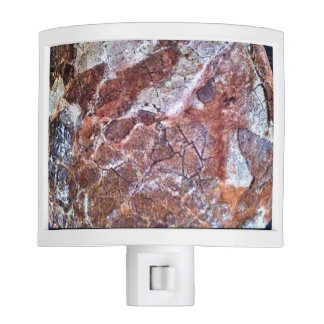 Luz fosilizada de la noche del huevo de dinosaurio