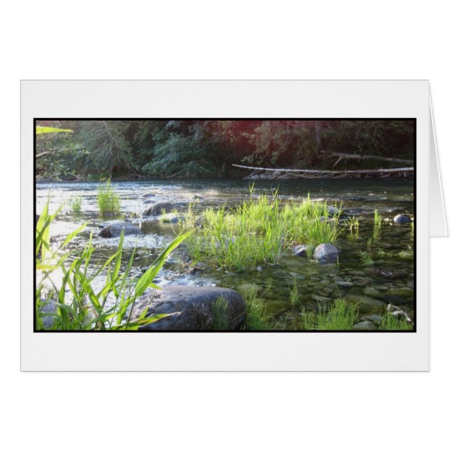 Luz matutina sobre el río Cowichan (Anverso (Horizontal))