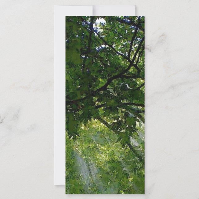 Luz solar a través de árboles (Anverso)