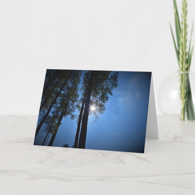 Luz solar a través de los Pinos, tarjeta (Anverso)