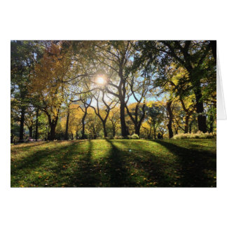 Luz solar en Central Park